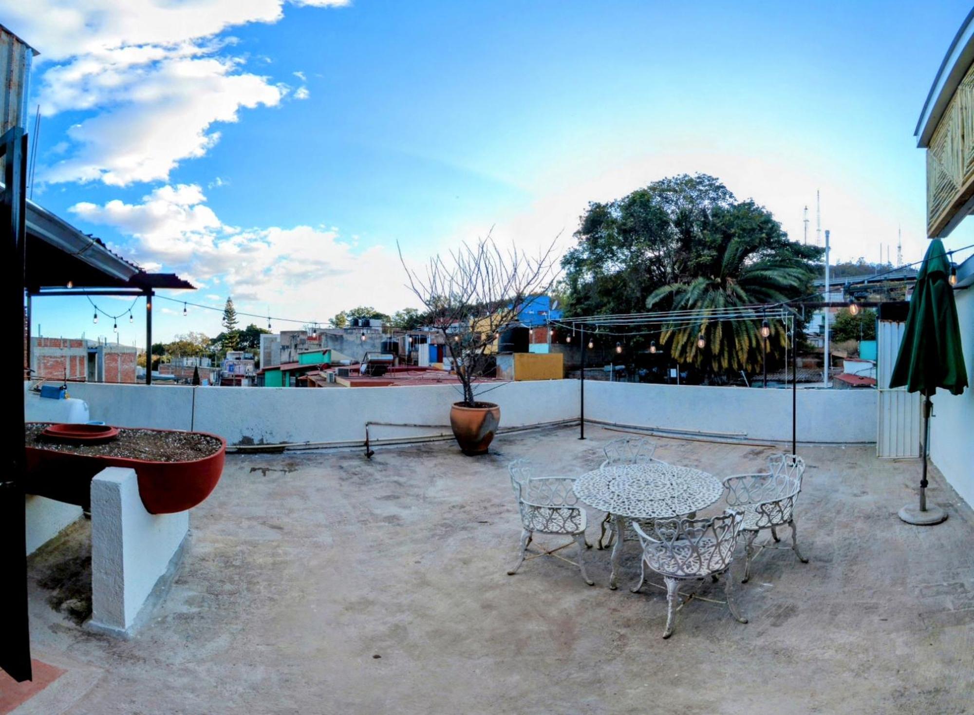 Casa De Las Palmas Guest House Oaxaca Bagian luar foto